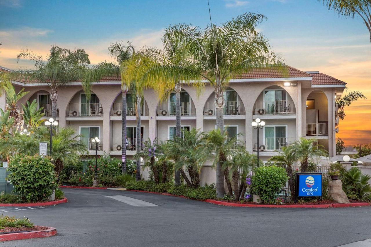 Comfort Inn Escondido San Diego North County מראה חיצוני תמונה